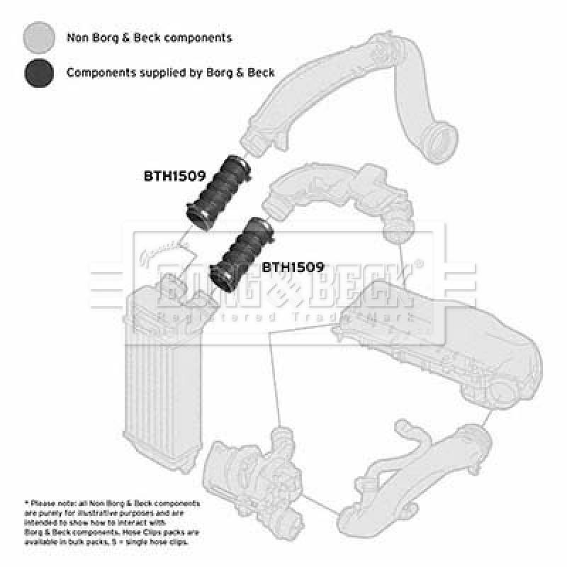 Gaine de suralimentation BORG & BECK BTH1509 - Visuel 2