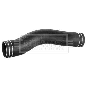 Gaine de suralimentation BORG & BECK BTH1516