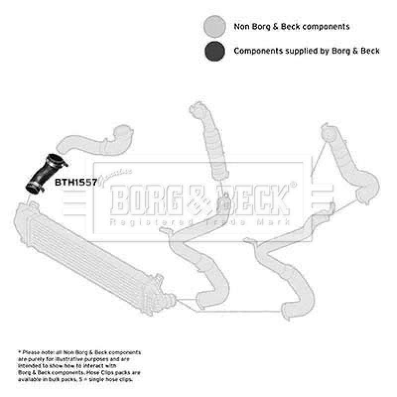 Gaine de suralimentation BORG & BECK BTH1557 - Visuel 2