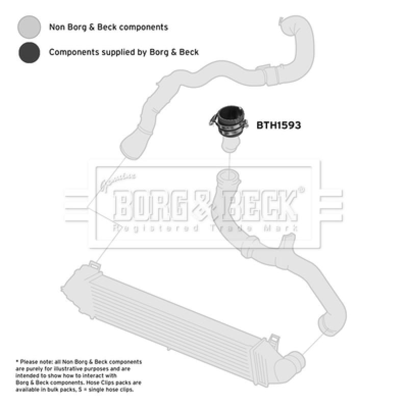Gaine de suralimentation BORG & BECK BTH1593 - Visuel 1