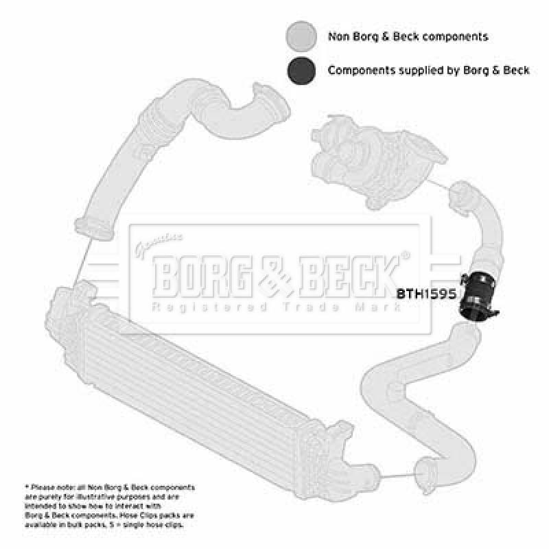 Gaine de suralimentation BORG & BECK BTH1595 - Visuel 2