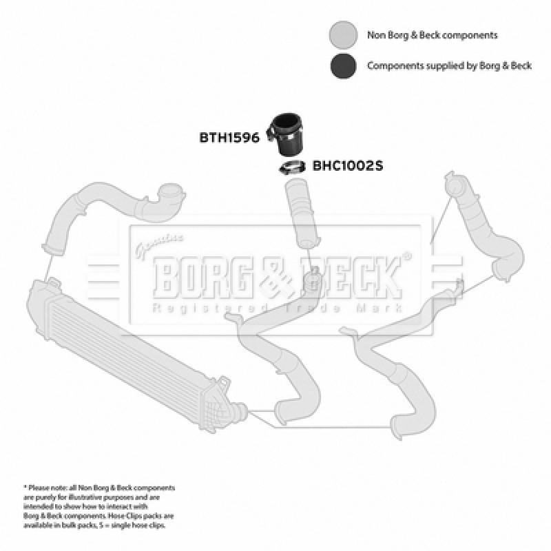 Gaine de suralimentation BORG & BECK BTH1596 - Visuel 2
