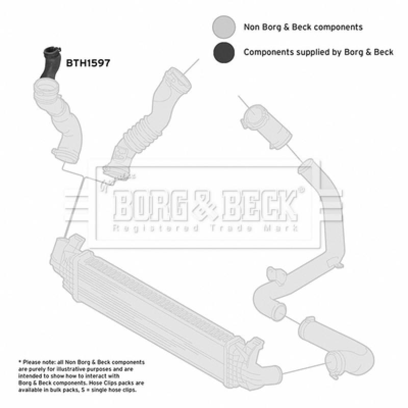 Gaine de suralimentation BORG & BECK BTH1597 - Visuel 2