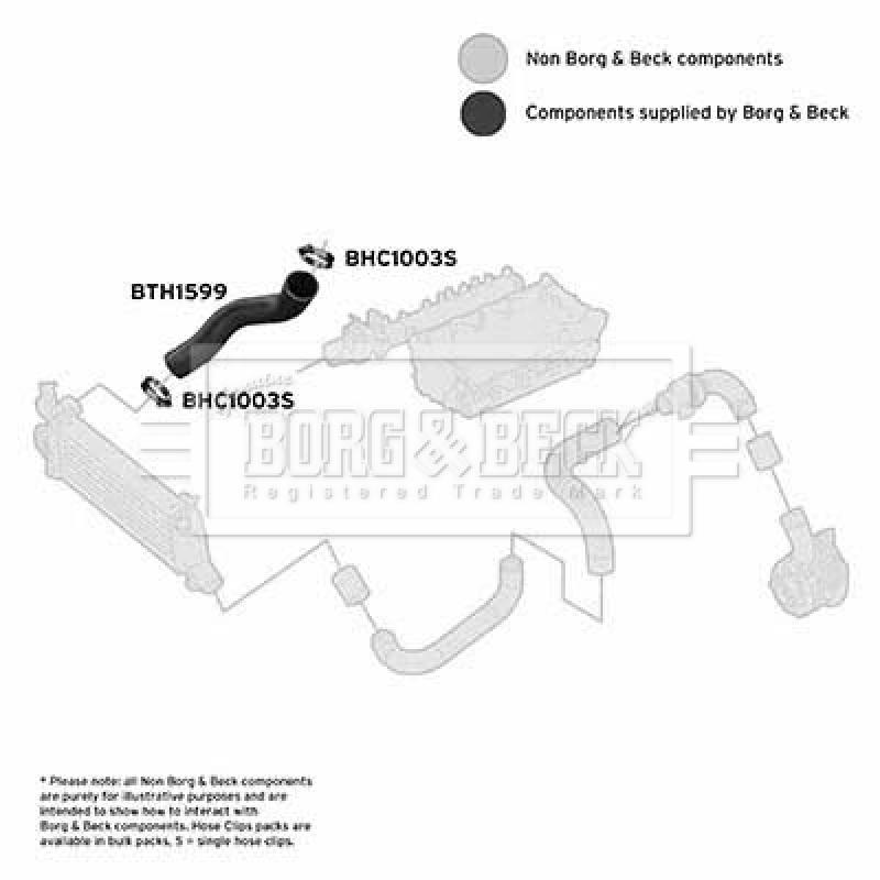 Gaine de suralimentation BORG & BECK BTH1599 - Visuel 2