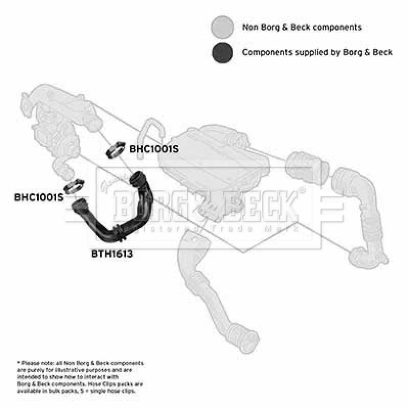 Gaine de suralimentation BORG & BECK BTH1613 - Visuel 2