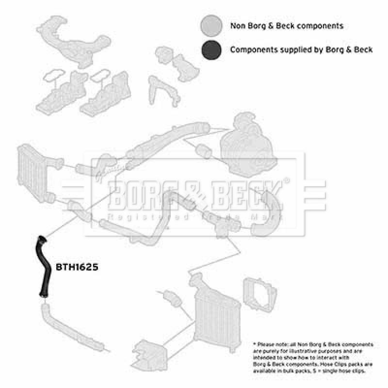 Gaine de suralimentation BORG & BECK BTH1625 - Visuel 2