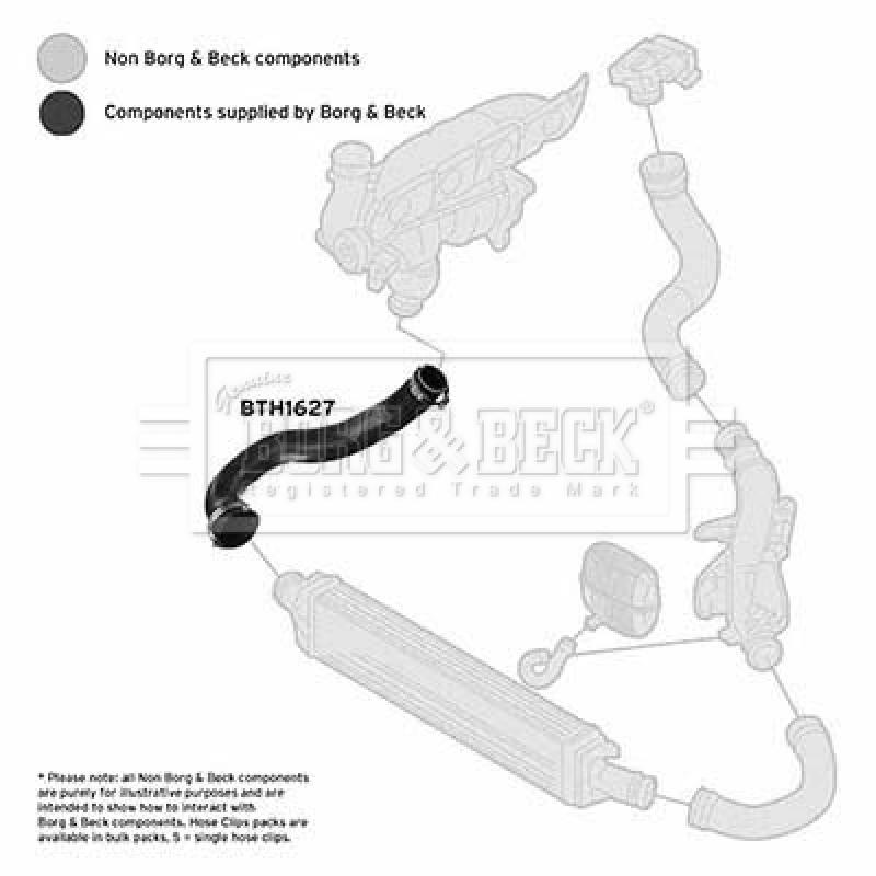 Gaine de suralimentation BORG & BECK BTH1627 - Visuel 2