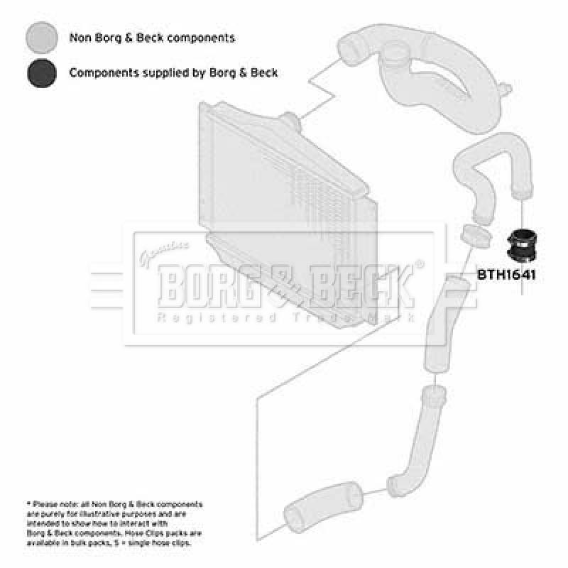 Gaine de suralimentation BORG & BECK BTH1641 - Visuel 2