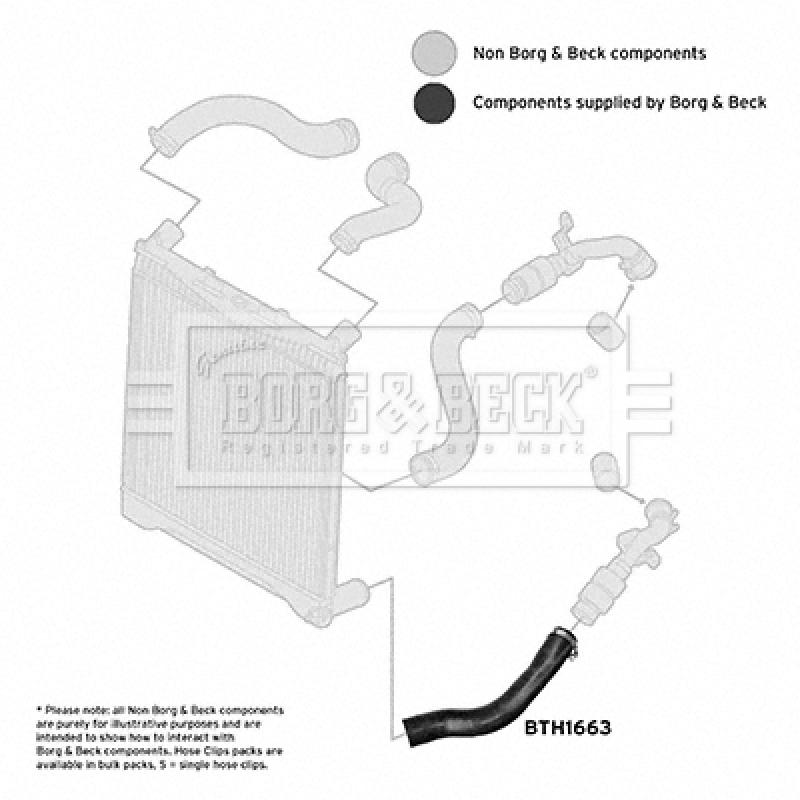 Gaine de suralimentation BORG & BECK BTH1663 - Visuel 2