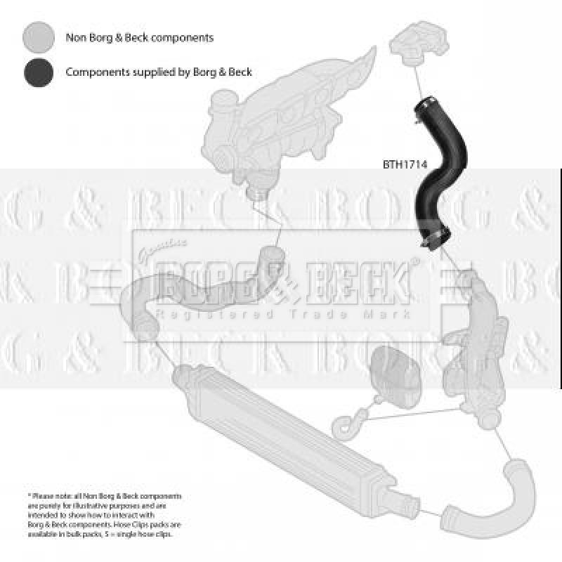 Gaine de suralimentation BORG & BECK BTH1714 - Visuel 2