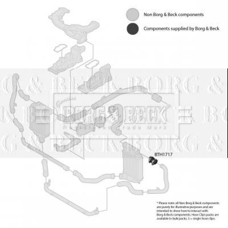 Gaine de suralimentation BORG & BECK BTH1717 - Visuel 2