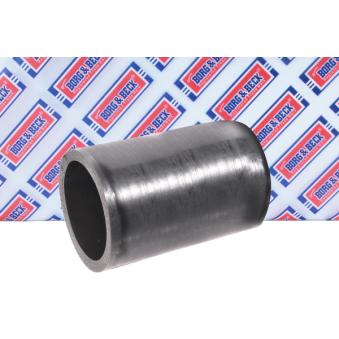 Gaine de suralimentation BORG & BECK BTH1727