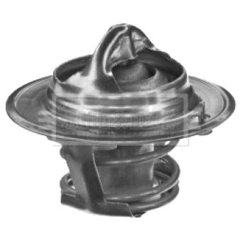 Thermostat d'eau BORG & BECK OEM 96MM8575BD