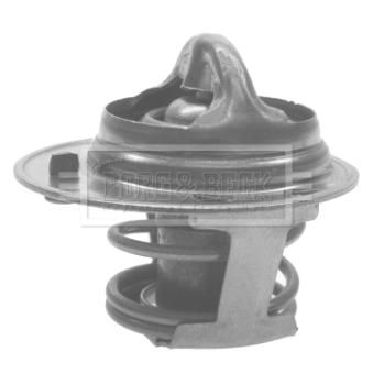 Thermostat d'eau BORG & BECK OEM 1760082850