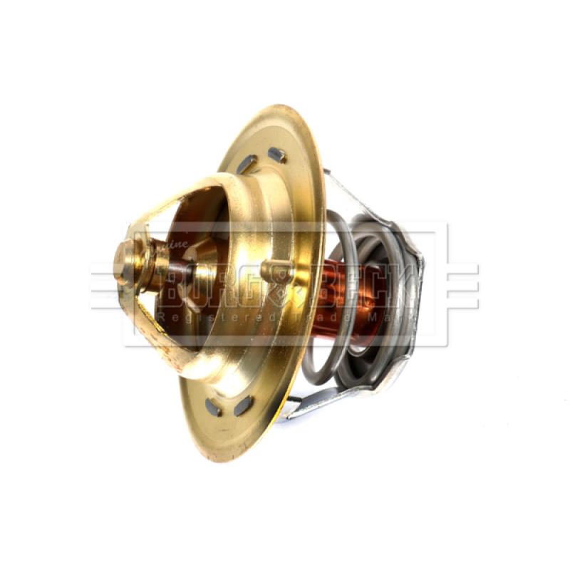 Thermostat d'eau BORG & BECK BTS261.82 - Visuel 1