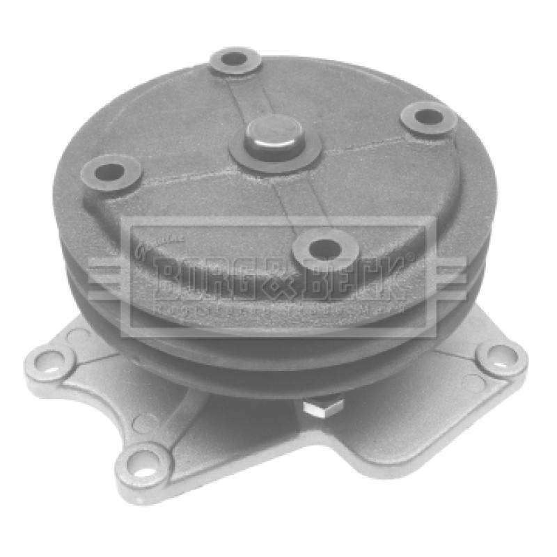 Pompe à eau BORG & BECK BWP1995 - Visuel 1