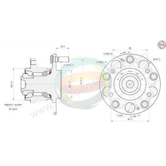 Roulement de roue arrière ODM-MULTIPARTS OEM 42200SEA951