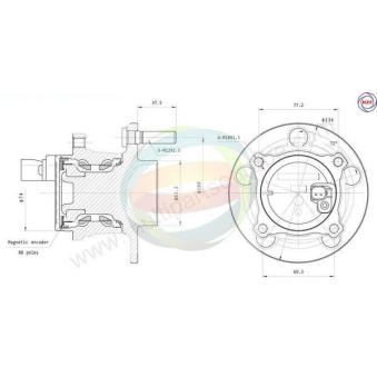 Roulement de roue arrière ODM-MULTIPARTS OEM 31280051