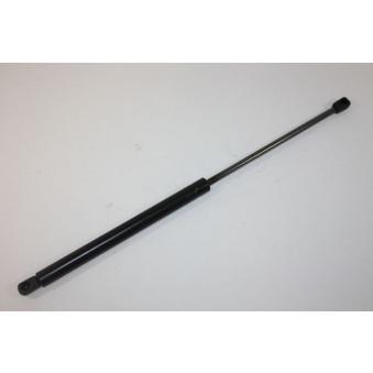 Vérin de hayon, de coffre AUTOMEGA 100006510 pour BMW X5 2.0 - 98cv Vérin de hayon, de coffre AUTOMEGA 100006510 pour BMW X5 2.0 - 98cv