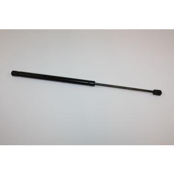 Vérin de hayon, de coffre AUTOMEGA 100018410 pour RENAULT R19 3.0 - 220cv