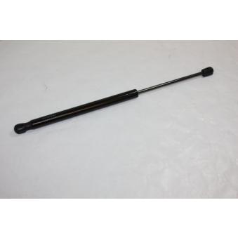 Vérin de hayon, de coffre AUTOMEGA [100043610]