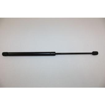 Vérin de hayon, de coffre AUTOMEGA 100053310 pour SUZUKI VITARA 1.8 16V - 110cv