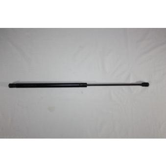 Vérin de hayon, de coffre AUTOMEGA [100098210]