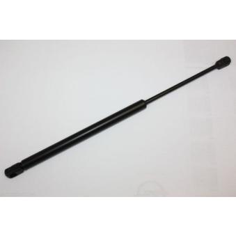 Vérin de hayon, de coffre AUTOMEGA [100100210]