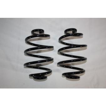 Ressort de suspension AUTOMEGA OEM 9196210