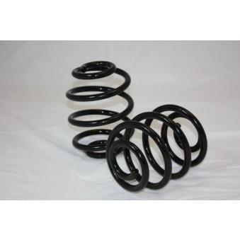 Ressort de suspension AUTOMEGA 110179310