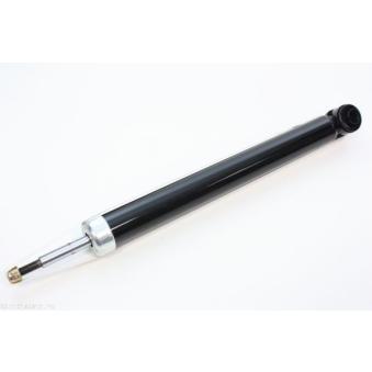 Jeu de 2 amortisseurs arrière AUTOMEGA [110180810]