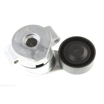 Tendeur, courroie trapézoïdale à nervures AUTOMEGA 160025810 pour FORD TRANSIT CUSTOM 2.2 TDCi - 100cv