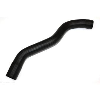 Durite de radiateur AUTOMEGA [160040810]