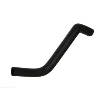 Durite de radiateur AUTOMEGA 160041910 pour VOLKSWAGEN PASSAT 1.6 - 72cv