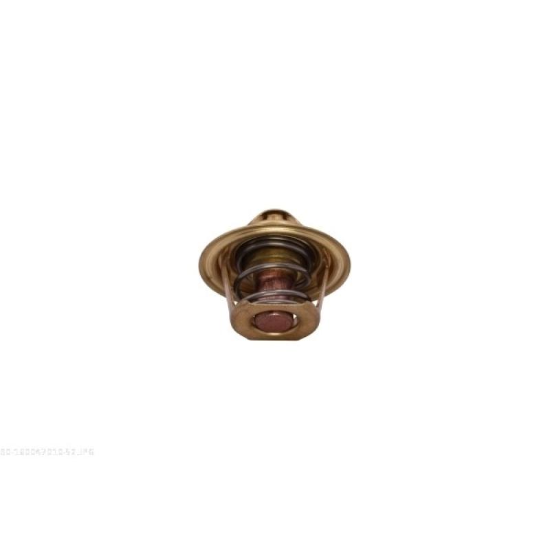 Thermostat d'eau AUTOMEGA 160047010 - Visuel 2