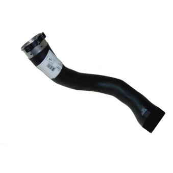 Gaine de suralimentation AUTOMEGA OEM 13242121