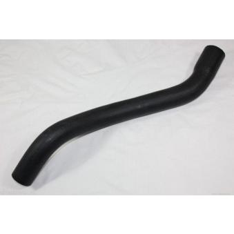 Durite de radiateur AUTOMEGA OEM 1336487