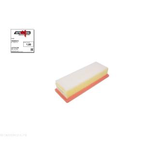 Filtre à air AUTOMEGA [180000410]