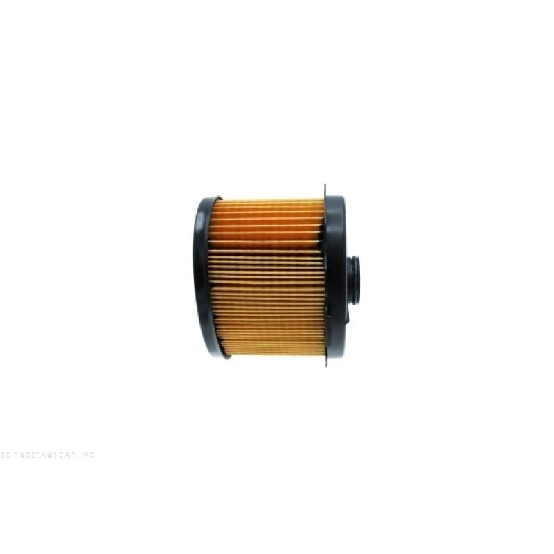 Filtre à carburant AUTOMEGA 180014810 - Visuel 2