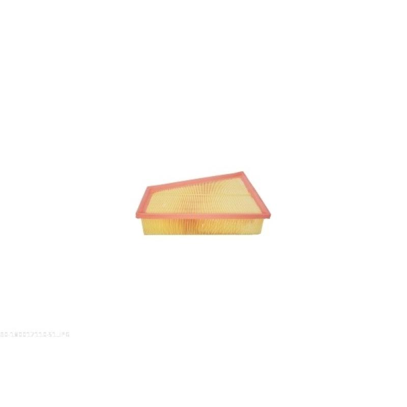 Filtre à air AUTOMEGA 180017110 - Visuel 2