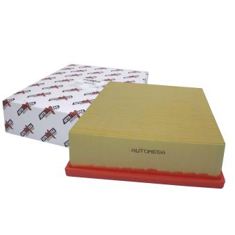 Filtre à air AUTOMEGA [180020610]