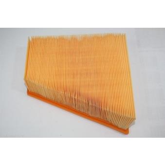 Filtre à air AUTOMEGA [180026610]