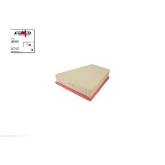 Filtre à air AUTOMEGA [180026910]