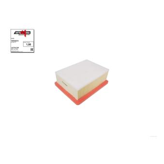 Filtre à air AUTOMEGA [180029210]