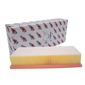 Filtre à air AUTOMEGA [180037410]