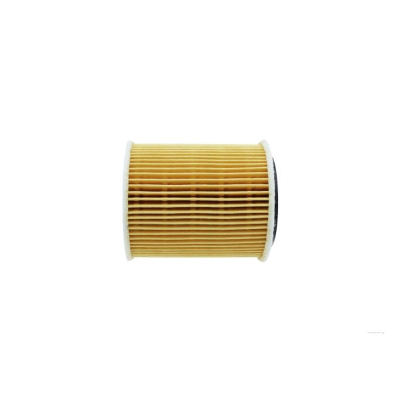 Filtre à huile AUTOMEGA 180060710 - Visuel 2