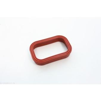 Joint d'étanchéité, collecteur d'admission AUTOMEGA 190004010