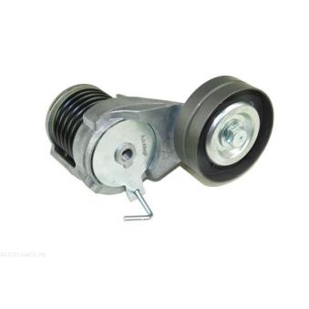 Tendeur, courroie trapézoïdale à nervures AUTOMEGA 210155810 pour VOLVO 940 1.6 FSI - 110cv