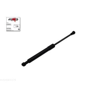 Vérin, capot-moteur AUTOMEGA 210200810