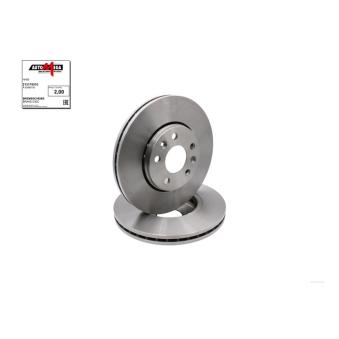 Jeu de 2 disques de frein avant AUTOMEGA 213174310 pour SKODA FABIA 2,0 dCi 110 - 110cv